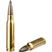 .308 Win. CDX 9,7g/150grs., Blaser