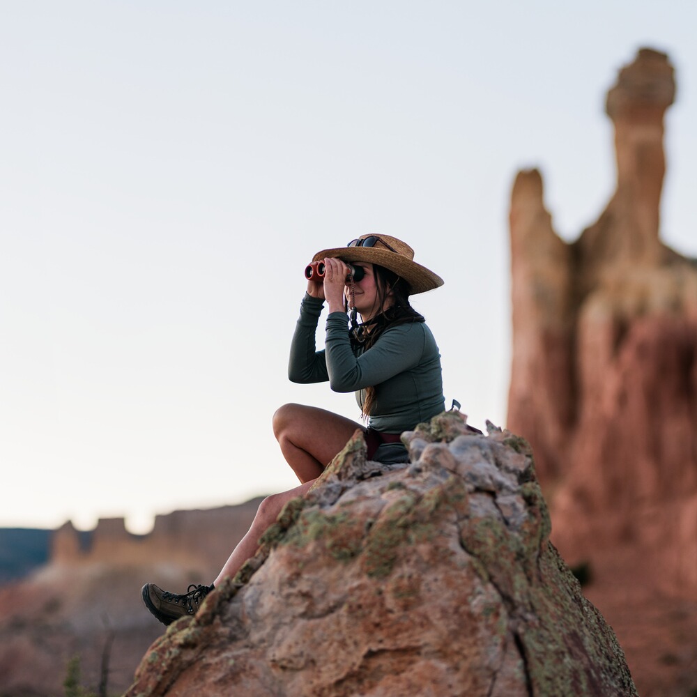 Fernglas CL Companion 3.0 10x30, Swarovski Optik