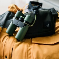 Fernglas CL Companion 3.0 10x30, Swarovski Optik