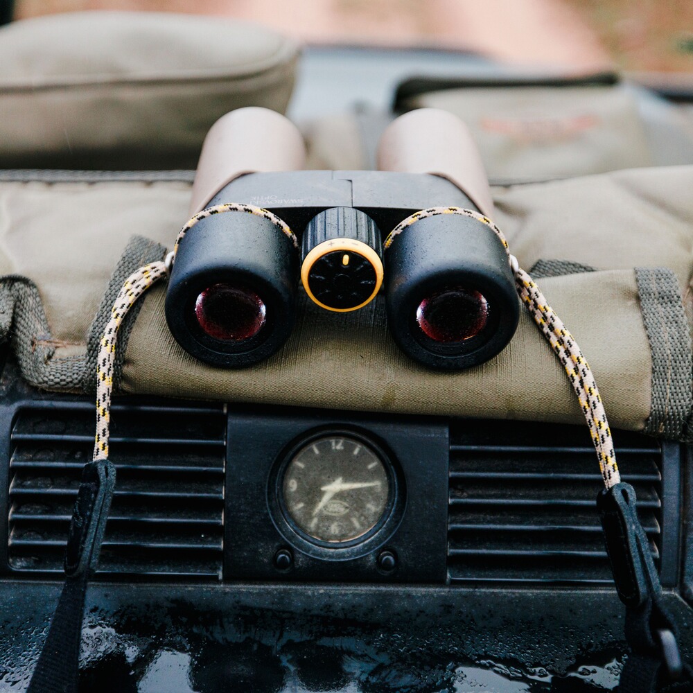 Fernglas CL Companion 3.0 10x30, Swarovski Optik