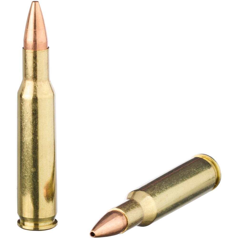 .222 Rem. Trainhunt OTM 3,4g/52grs., Hornady