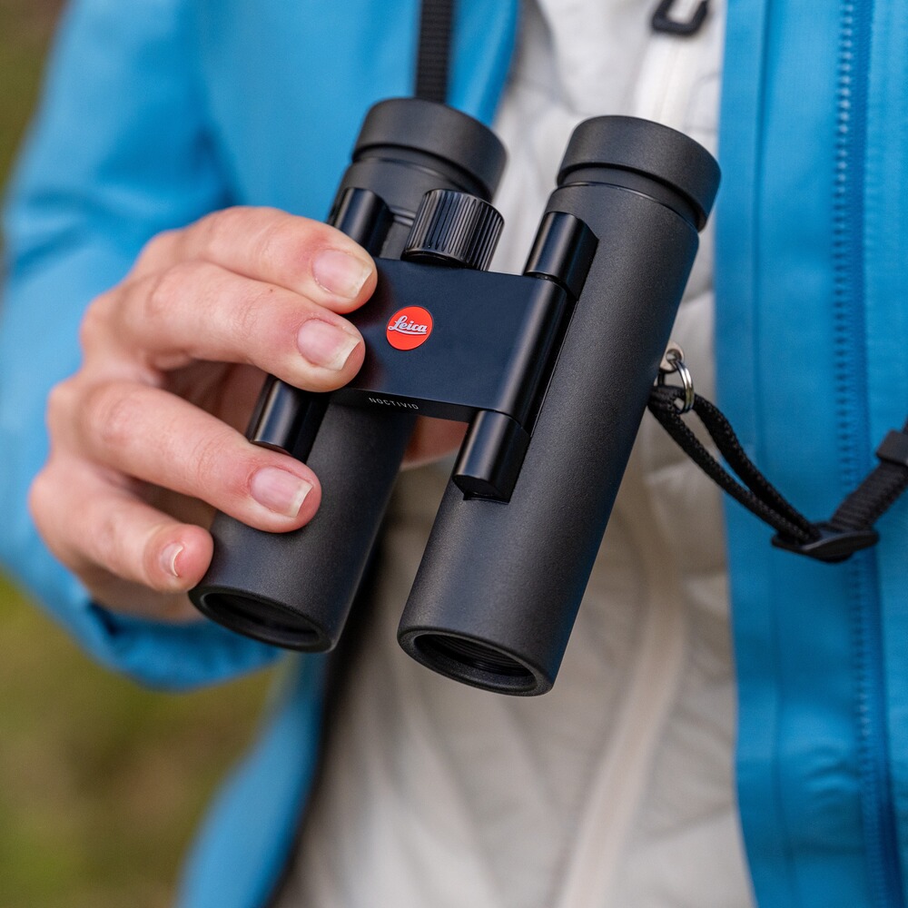 Fernglas Noctivid Compact 10x25, Leica