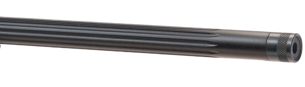 Repetierbüchse 110 Trail Blazer, Savage Arms