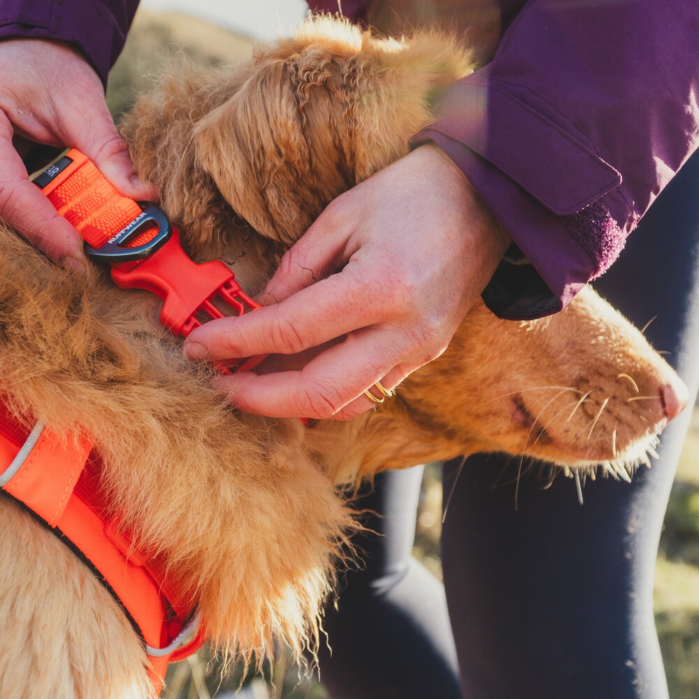 Halsband Front Range™, Ruffwear
