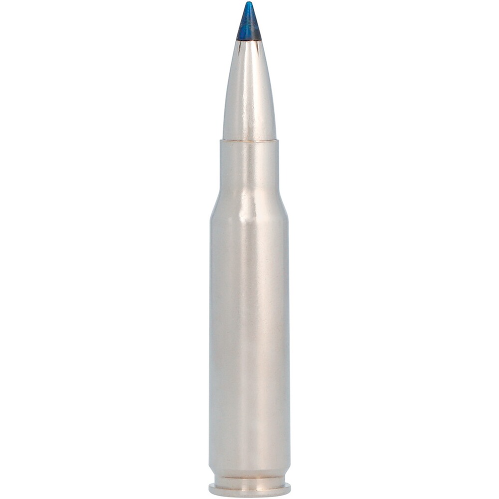 .300 Win. Mag. Terminal Ascent 11,3g/175grs, Federal Ammunition