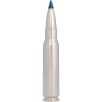 .300 Win. Mag. Terminal Ascent 11,3g/175grs, Federal Ammunition