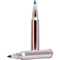.300 Win. Mag. Terminal Ascent 11,3g/175grs, Federal Ammunition
