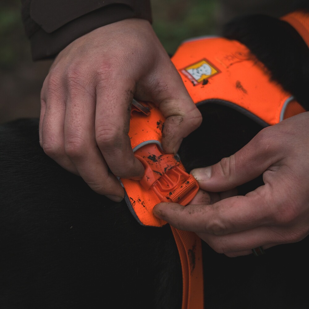 Hundegeschirr Front Range™, Ruffwear