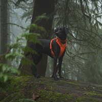 Hundegeschirr Front Range™, Ruffwear