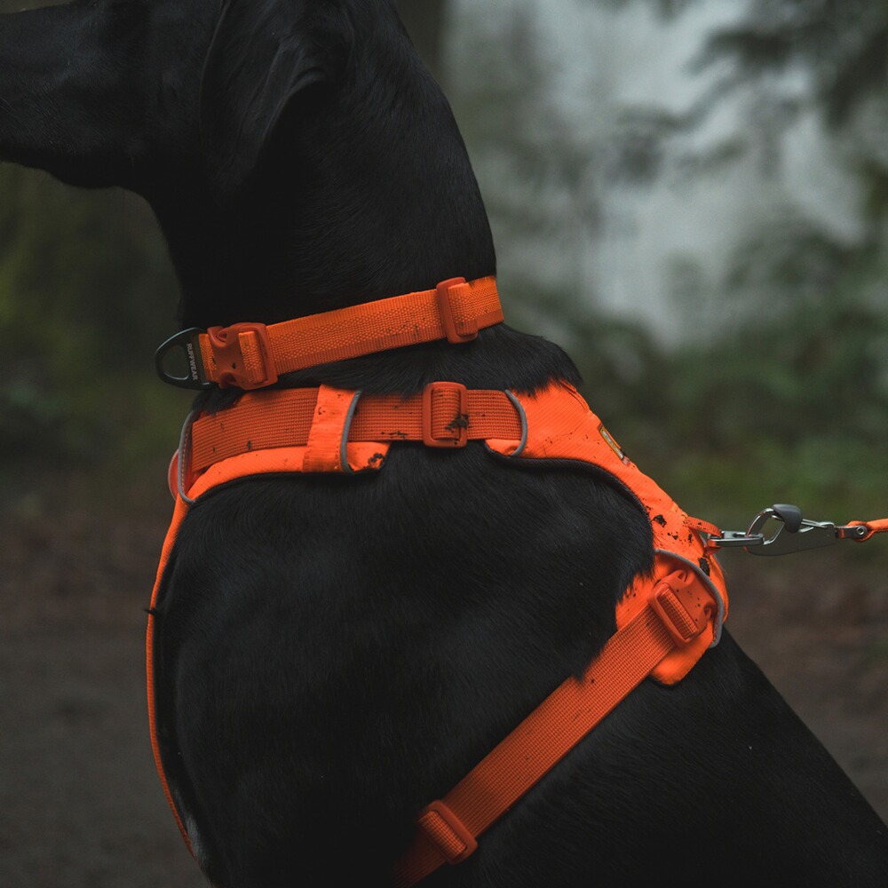Hundegeschirr Front Range™, Ruffwear