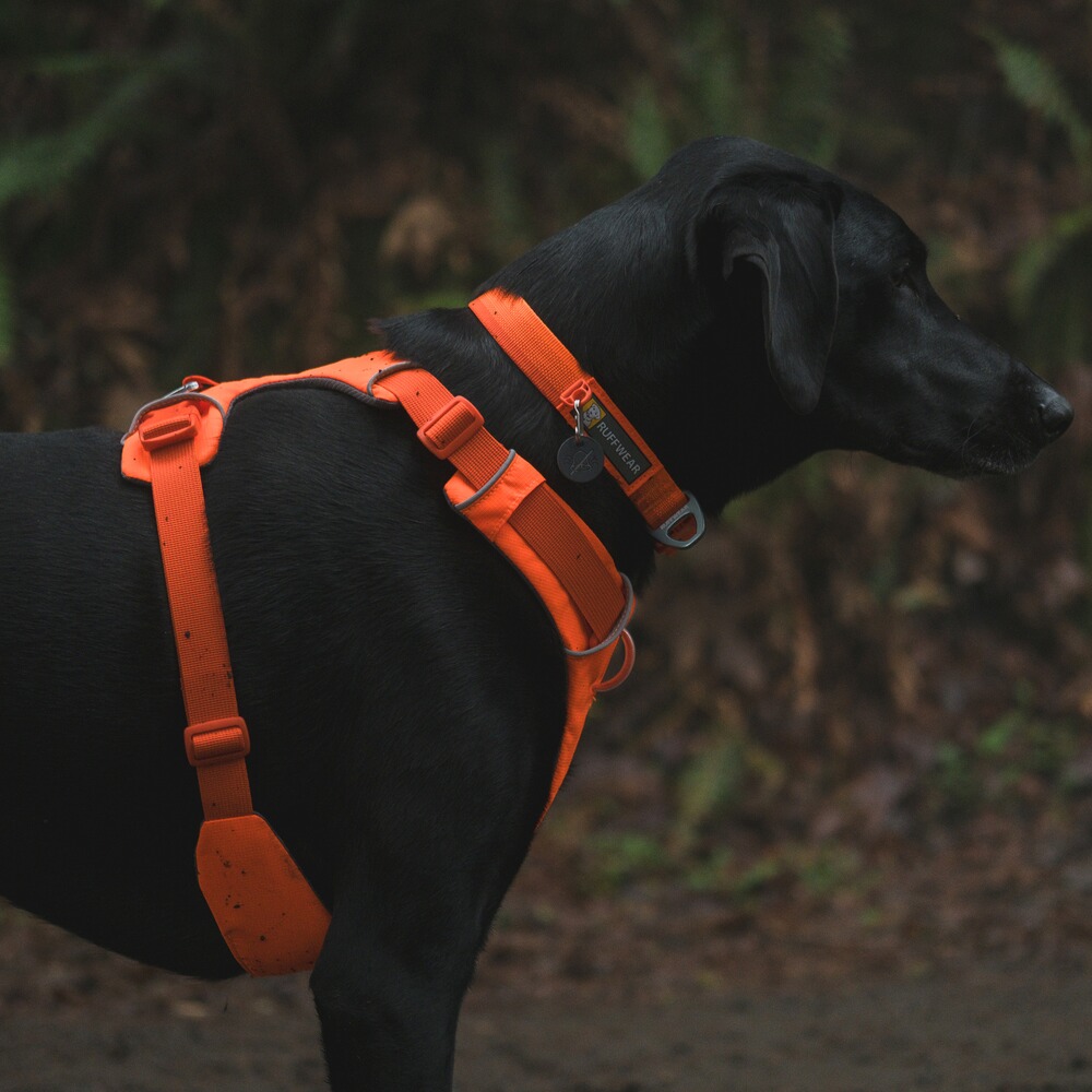 Hundegeschirr Front Range™, Ruffwear