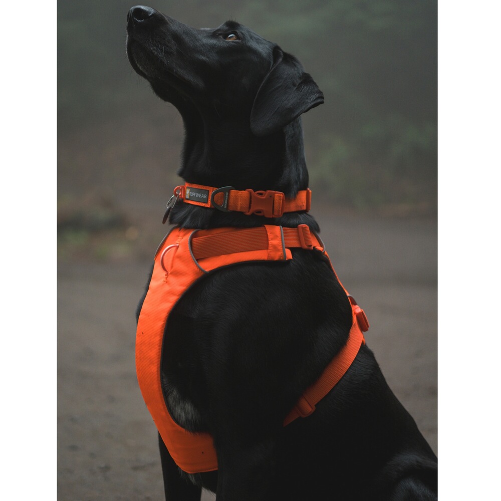 Hundegeschirr Front Range™, Ruffwear