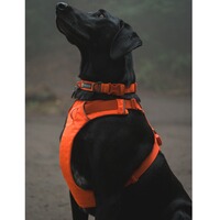 Hundegeschirr Front Range™, Ruffwear