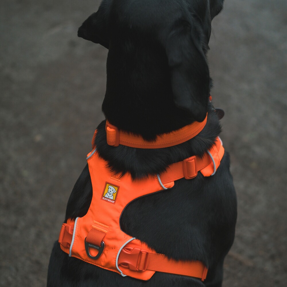 Hundegeschirr Front Range™, Ruffwear