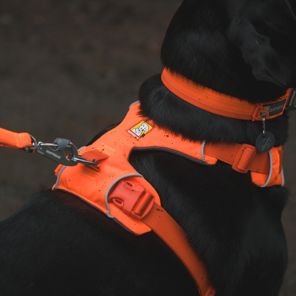 Hundegeschirr Front Range™, Ruffwear