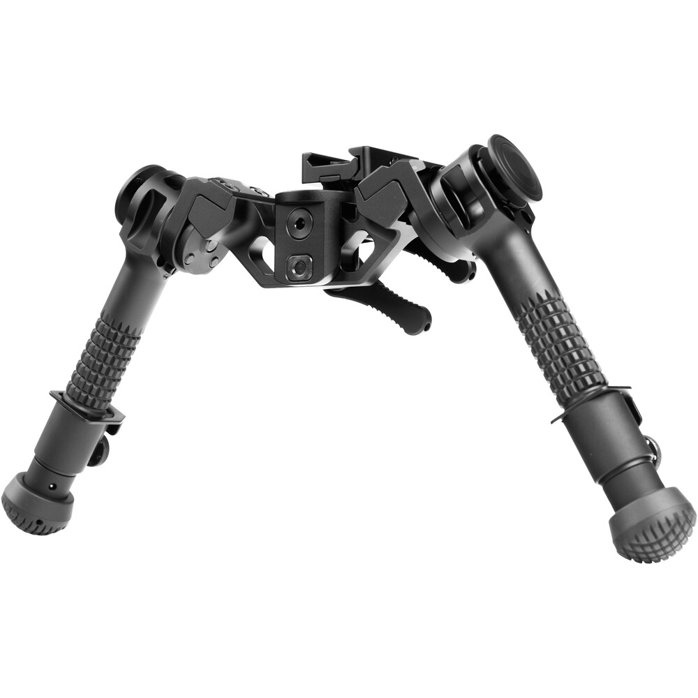 Zweibein Goliath