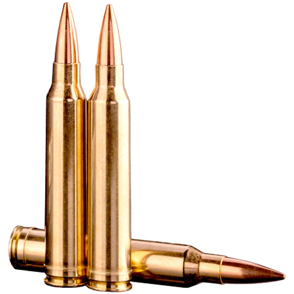 .300 Win. Mag. TRG Precision HP 11,3g/175grs, Sako