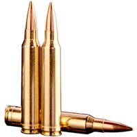 .300 Win. Mag. TRG Precision HP 11,3g/175grs, Sako