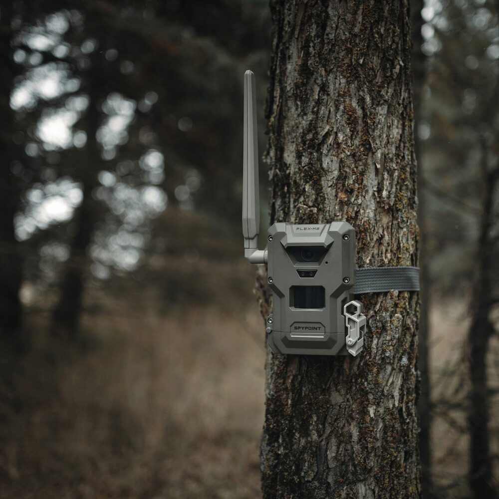 Wildkamera Spypoint Flex-M2, Spypoint