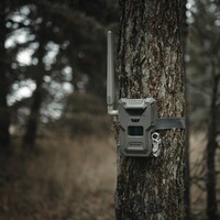 Wildkamera Spypoint Flex-M2, Spypoint