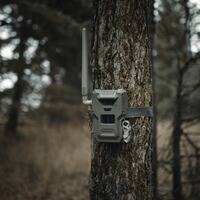 Wildkamera Spypoint Flex-M2, Spypoint