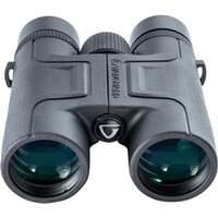 Fernglas VESTA 10x42, Vanguard