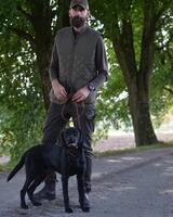 Steppweste Dunsley, Chevalier