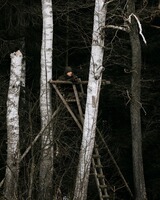 Winter-Overall Eagle, Deerhunter