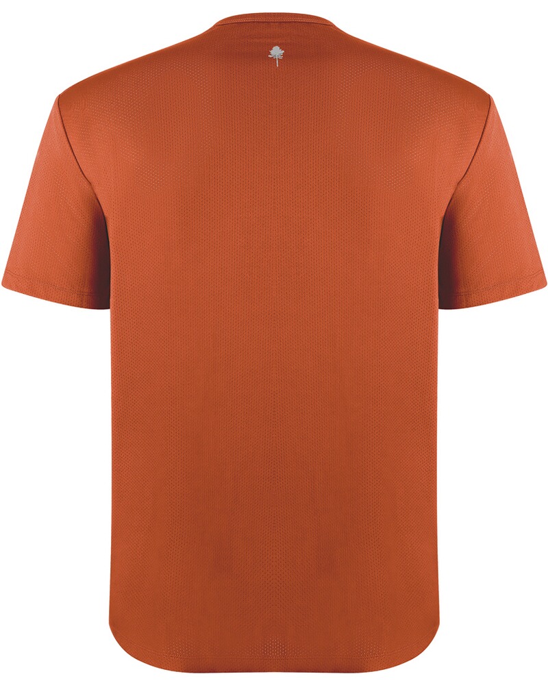 T-Shirt Function, Pinewood