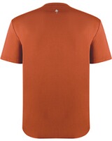 T-Shirt Function, Pinewood