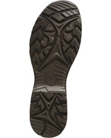 Stiefel Black Eagle® Nature GTX, Haix