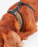 Hundegeschirr Classic Tartan, Barbour