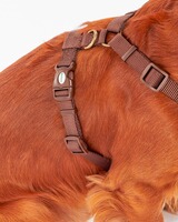 Hundegeschirr Classic Tartan, Barbour