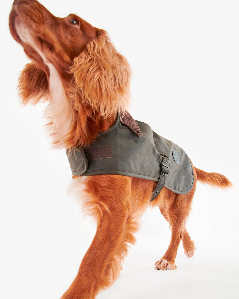 Hundemantel Matt Wax, Barbour