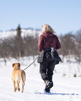 Gürteltasche Dog Sports Utility, Pinewood