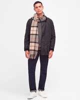 Schal Galingale, Barbour