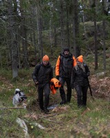 Damen Jacke Pointer Chevalite 3.0, Chevalier