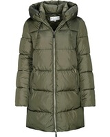 Steppmantel, In Linea