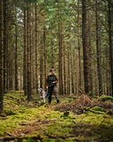 Damen Fleeceweste Smaland, Pinewood