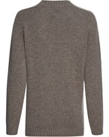 Stehkragenpullover, Geiger