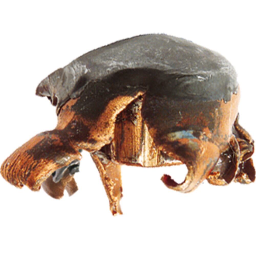 .243 Win. Kegelspitz 6,2g/96grs., RWS