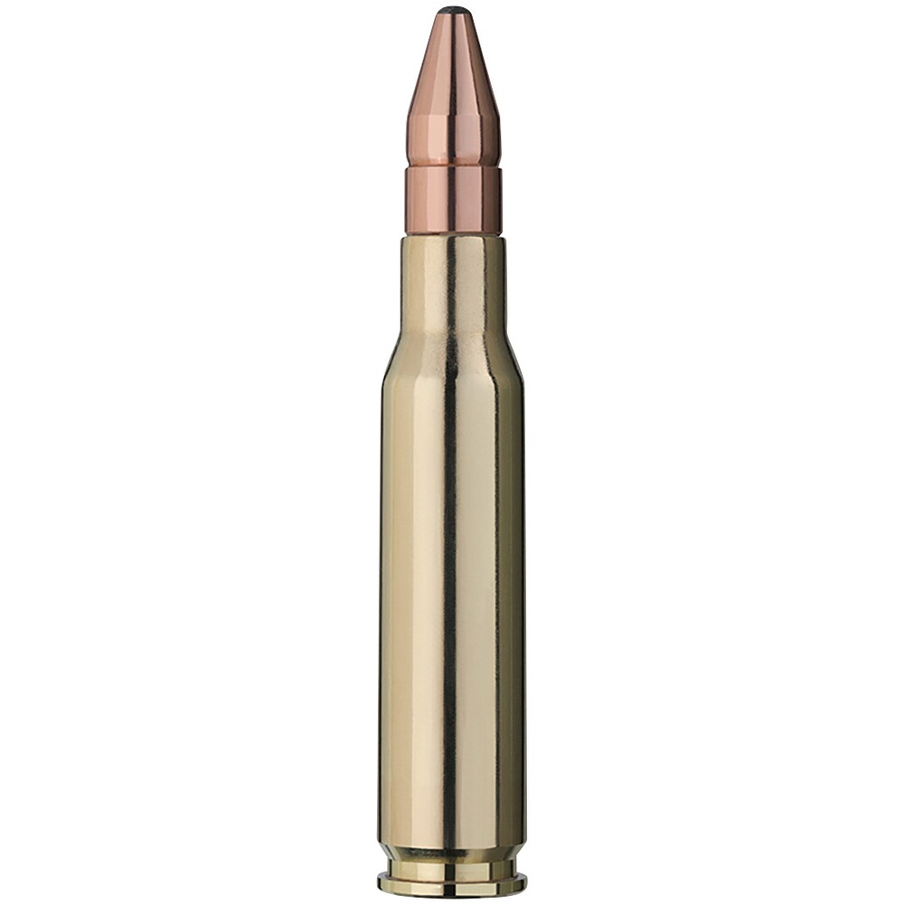 .308 Win. Doppelkern 10,7g/165grs., RWS