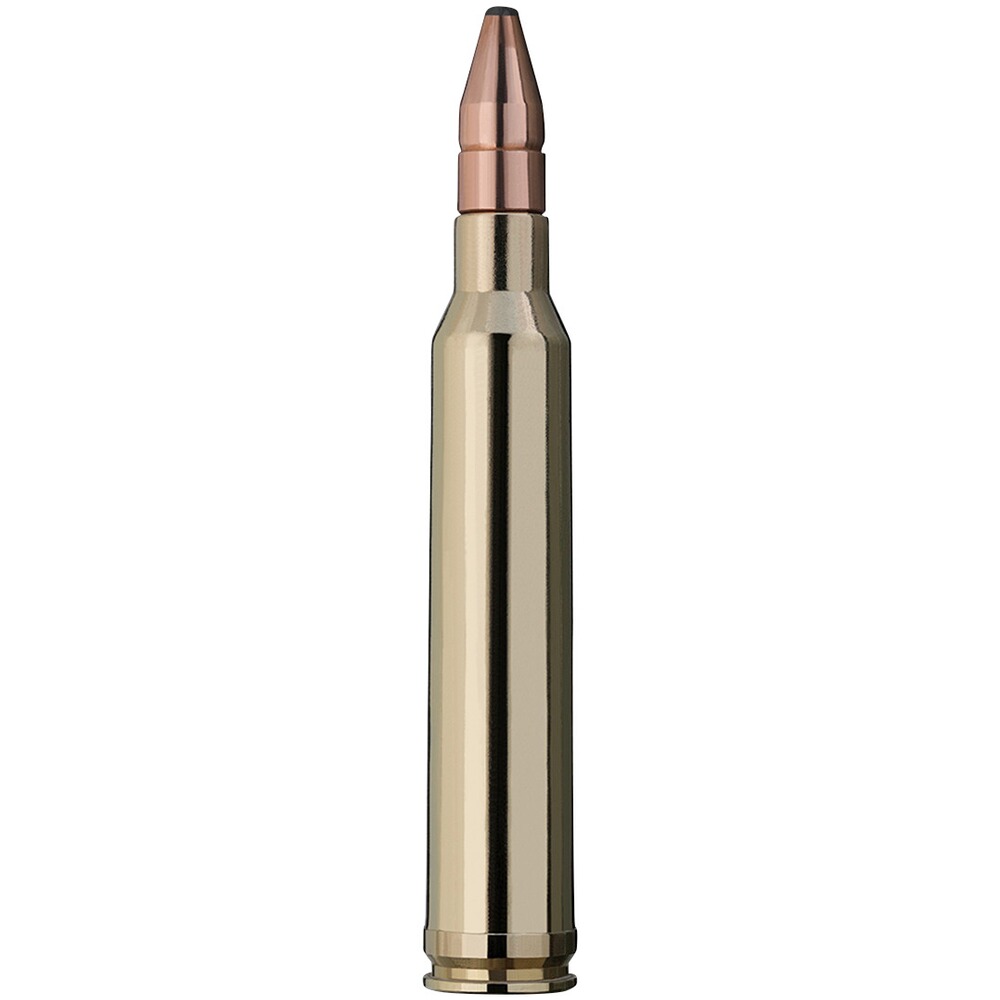 .300 Win. Mag. Doppelkern 10,7g/165grs., RWS