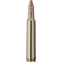 .300 Win. Mag. Doppelkern 10,7g/165grs., RWS