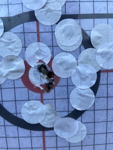 Bewertungsbild zu der Überschrift Sehr gute Präsentation und super Wirkung!