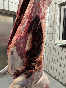 Bewertungsbild zu der Überschrift Hirsch erlegt