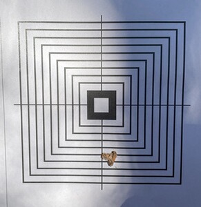 Bewertungsbild zu der Überschrift TOP Waffe, top präzision