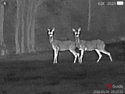 Bewertungsbild zu der Überschrift Preis Leistung passt