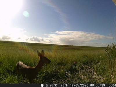 Bewertungsbild zu der Überschrift Absolut super Gerät
