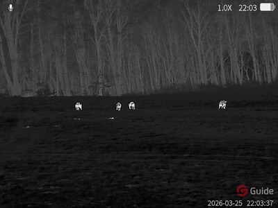 Bewertungsbild zu der Überschrift Preis Leistung passt